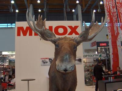 iwa09094.jpg